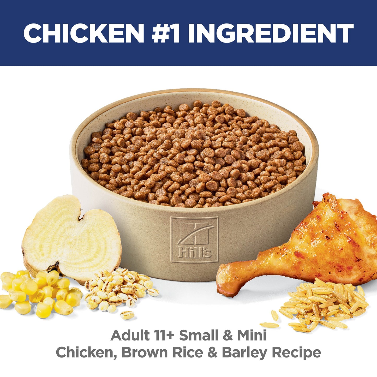 Hill's Science Diet Small & Mini Senior Adult 11+ Dry Dog Food