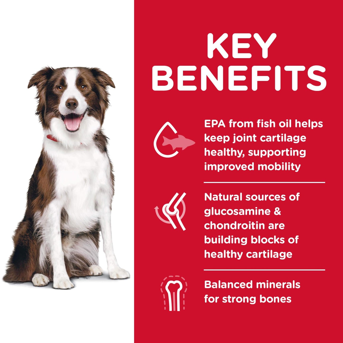 Hill's Science Diet Large Breed Healthy Mobility Adult Chicken Dry Dog Food