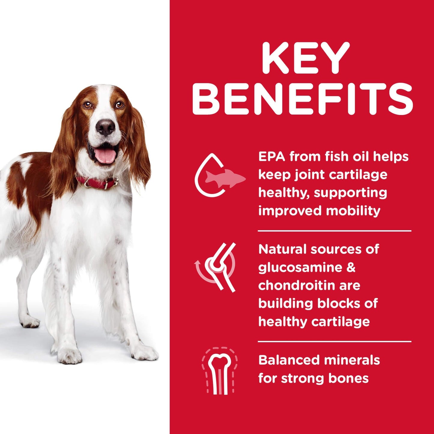 Hill's Science Diet Healthy Mobility Adult Chicken Dry Dog Food