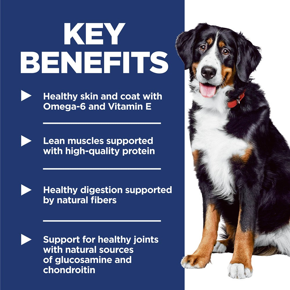 Hill's Science Diet Large Breed Adult Chicken Dry Dog Food