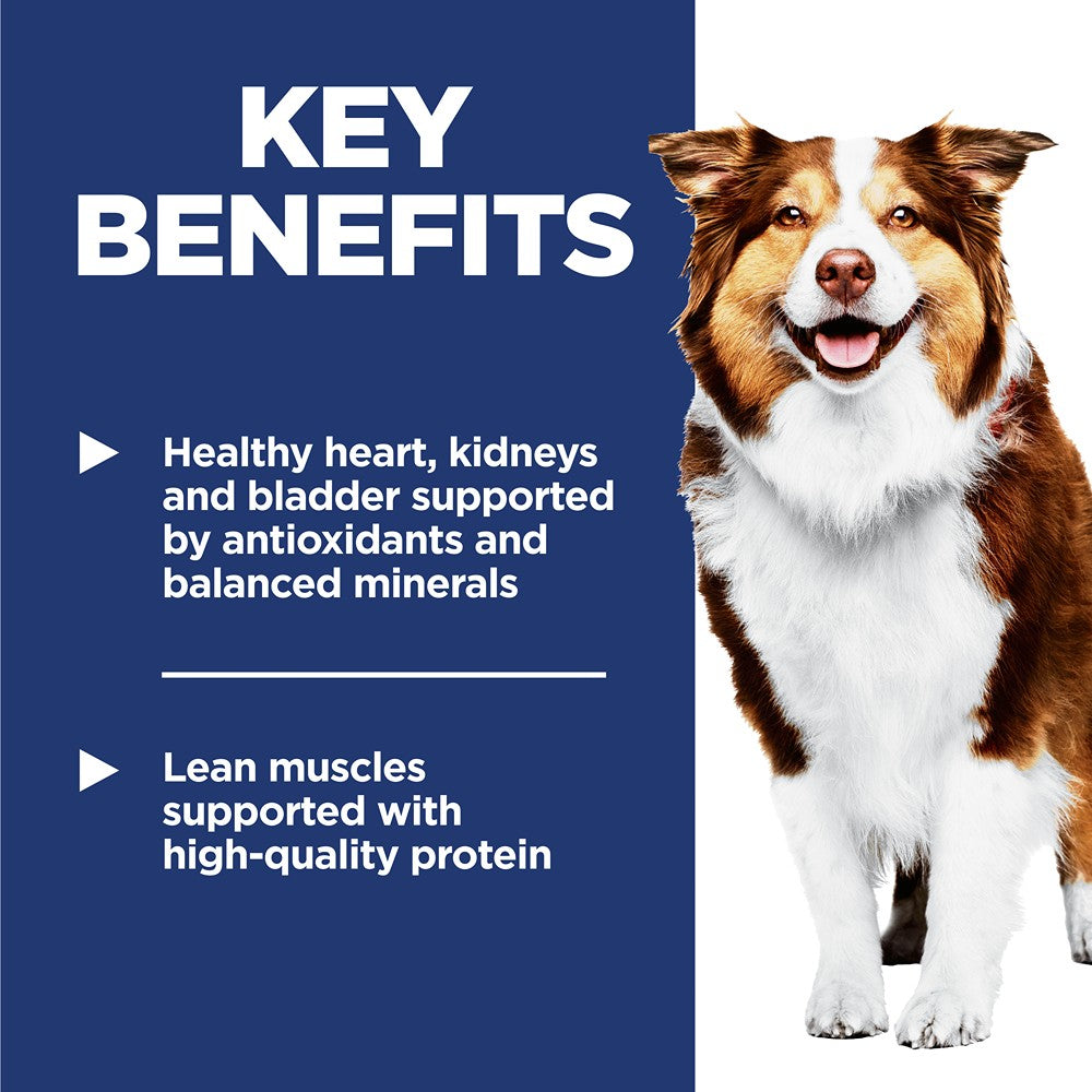 Hill's Science Diet Senior Chicken Dry Dog Food