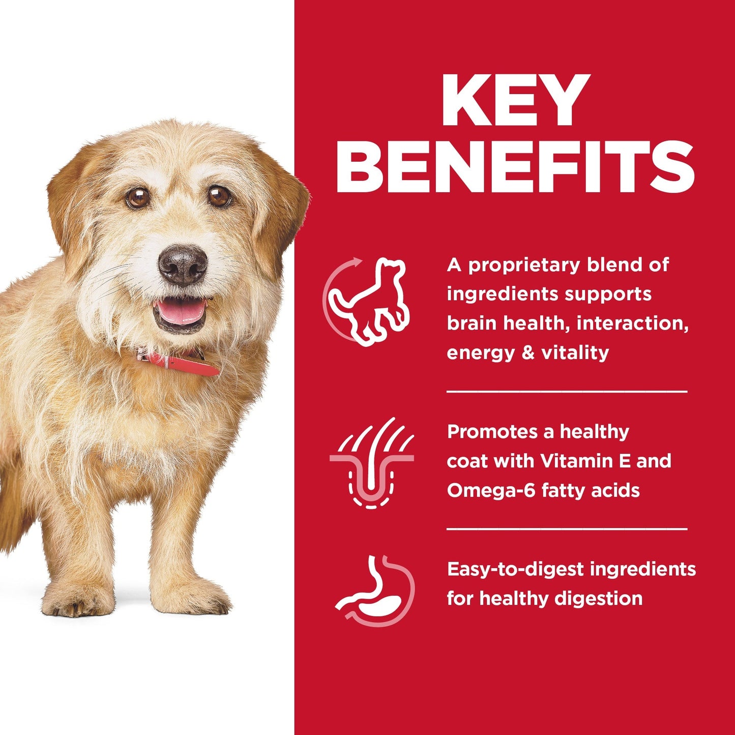 Hill's Science Diet Senior Vitality Small & Mini Senior Chicken Dry Dog Food