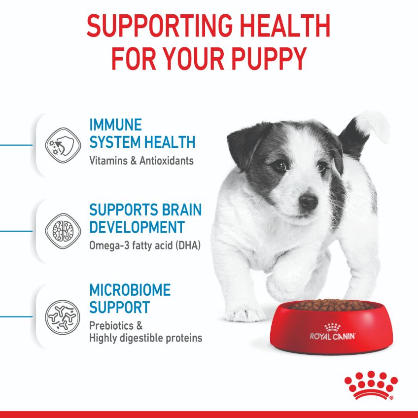 Royal Canin Mini Breed Puppy Dry Dog Food