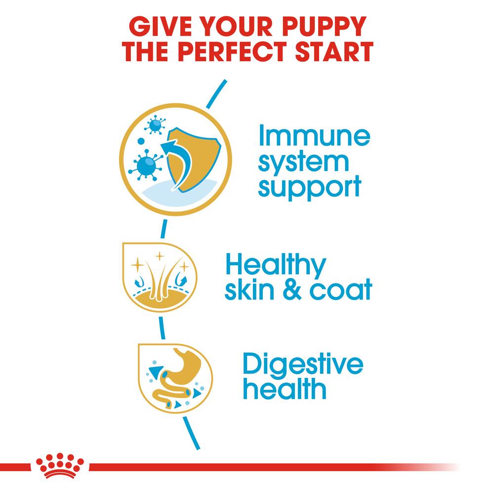 Royal Canin Golden Retriever Puppy Chicken Dry Dog Food