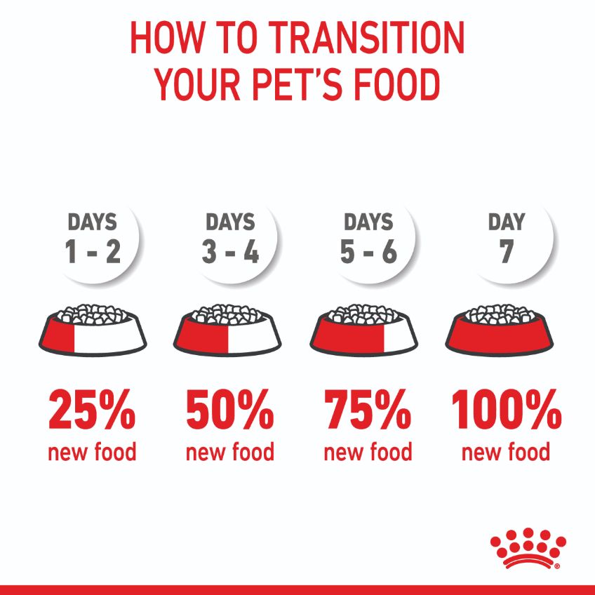 Royal Canin Mini Breed Puppy Dry Dog Food