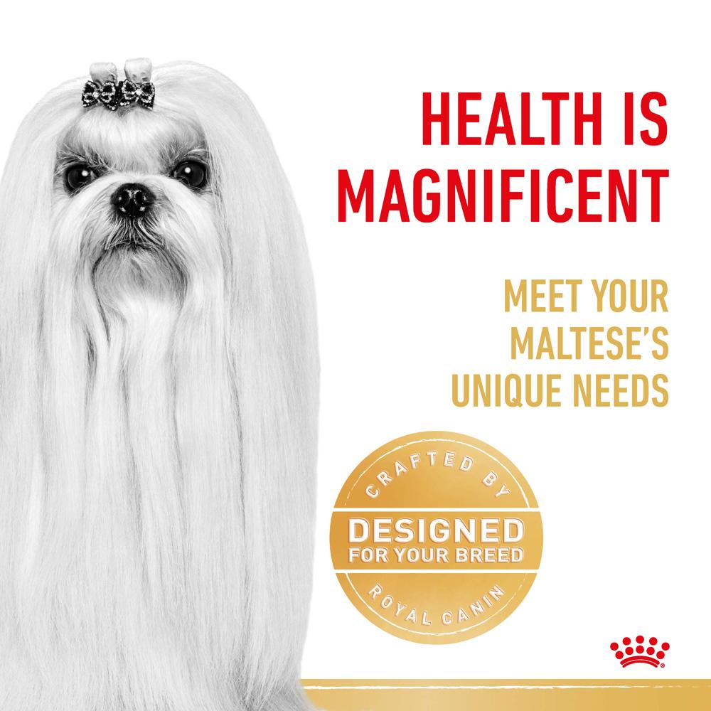 Royal Canin Maltese Adult Dry Dog Food