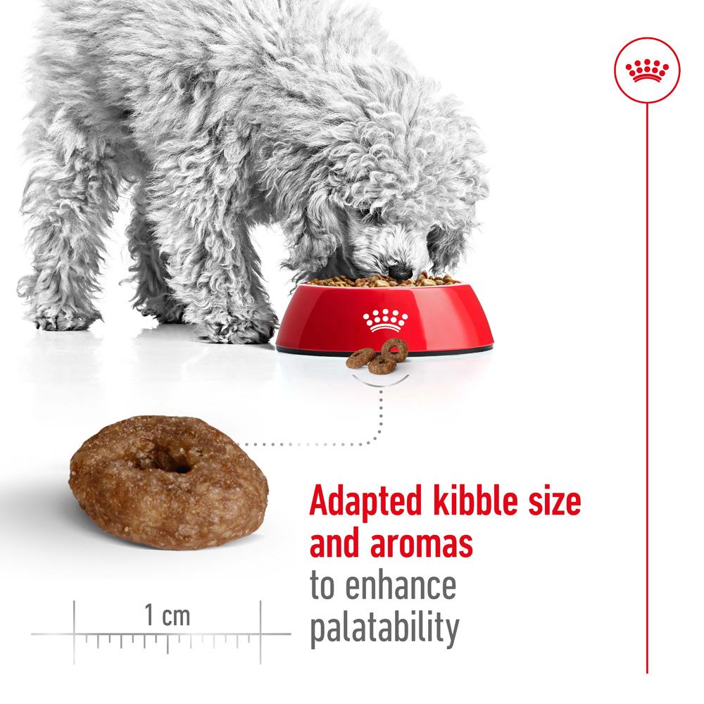 Royal Canin Mini Ageing 12+ Senior Dry Dog Food