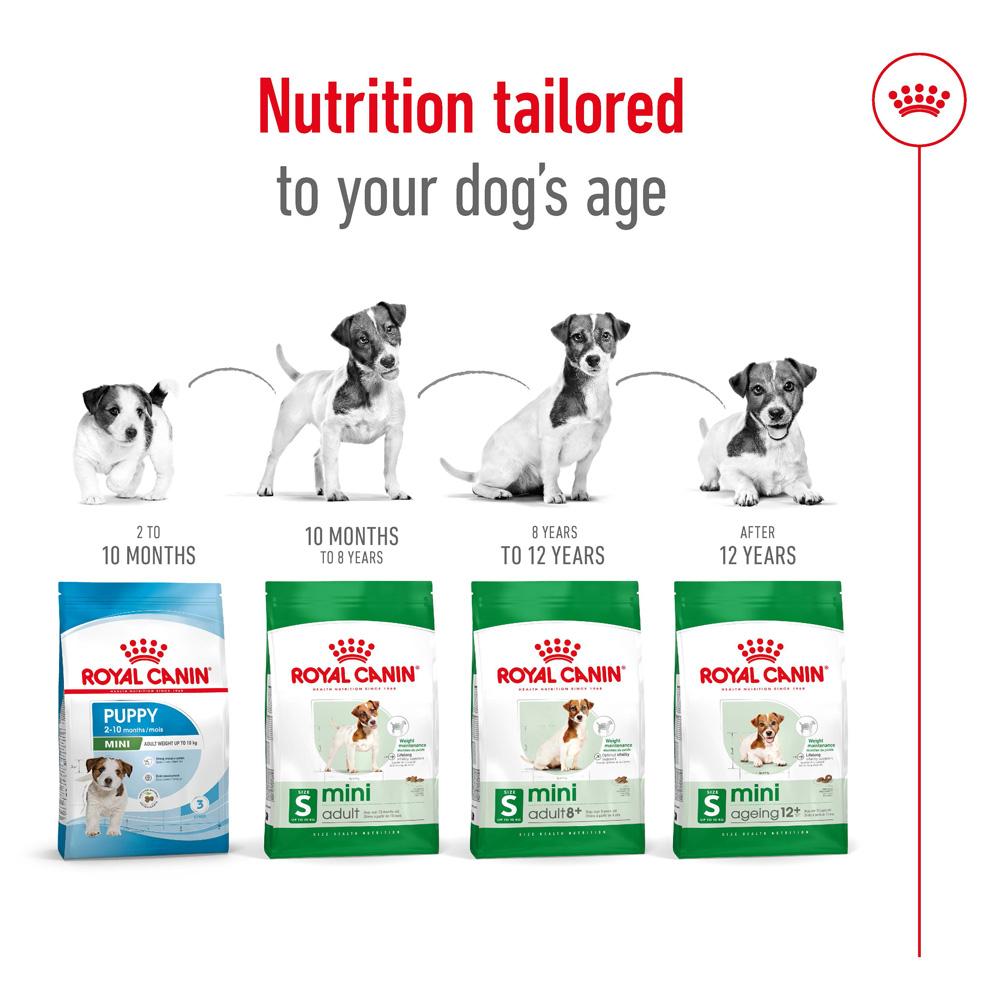 Royal Canin Mini Ageing 12+ Senior Dry Dog Food