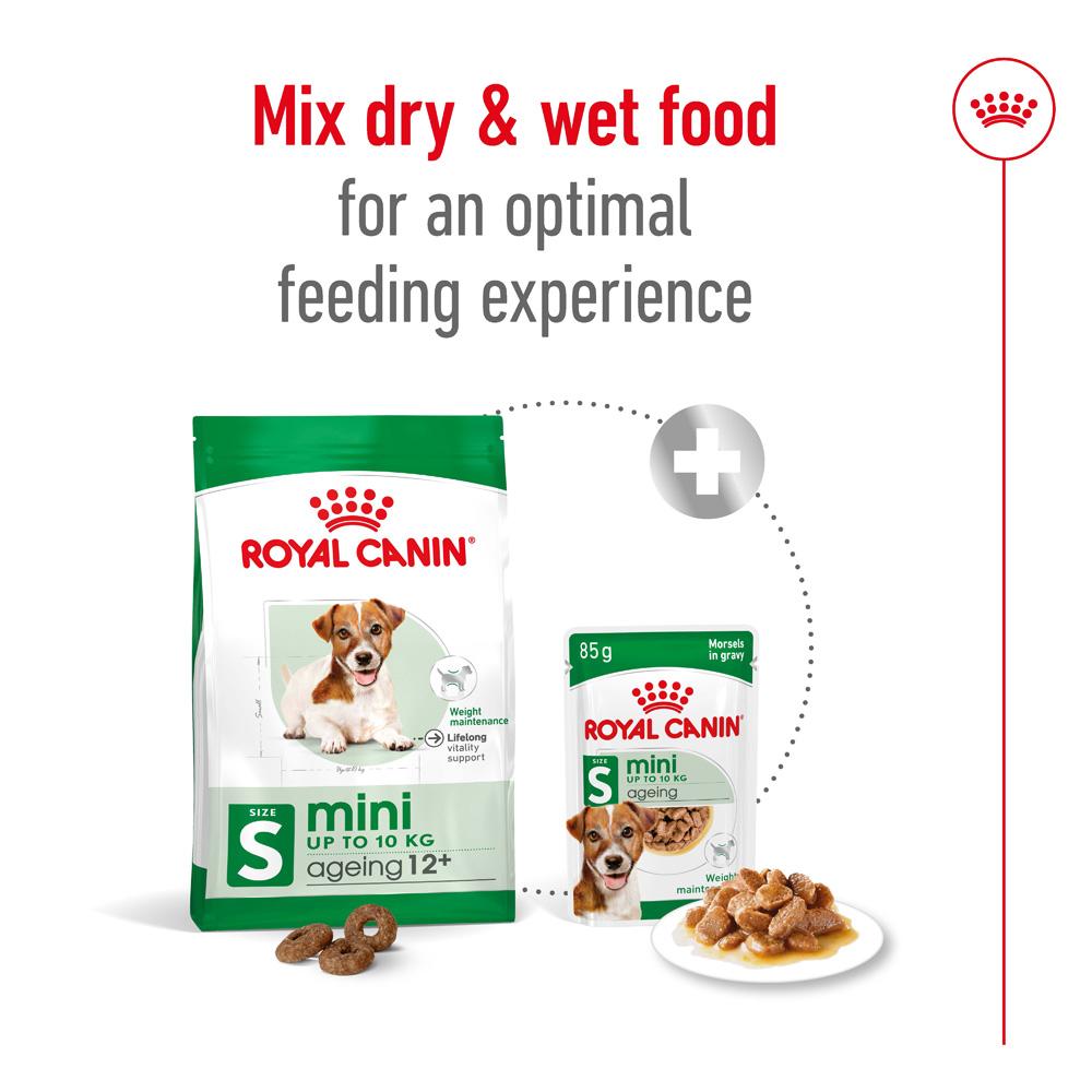 Royal Canin Mini Ageing 12+ Senior Dry Dog Food