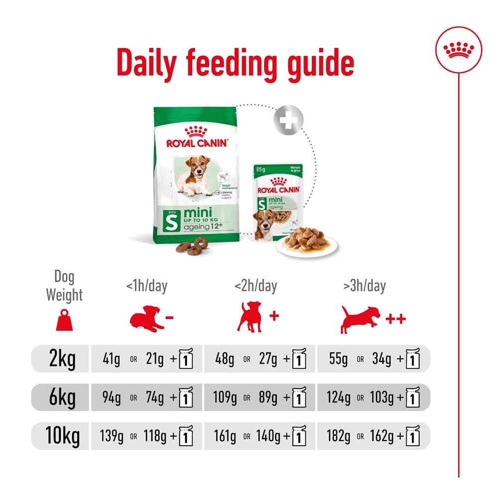 Royal Canin Mini Ageing 12+ Senior Dry Dog Food