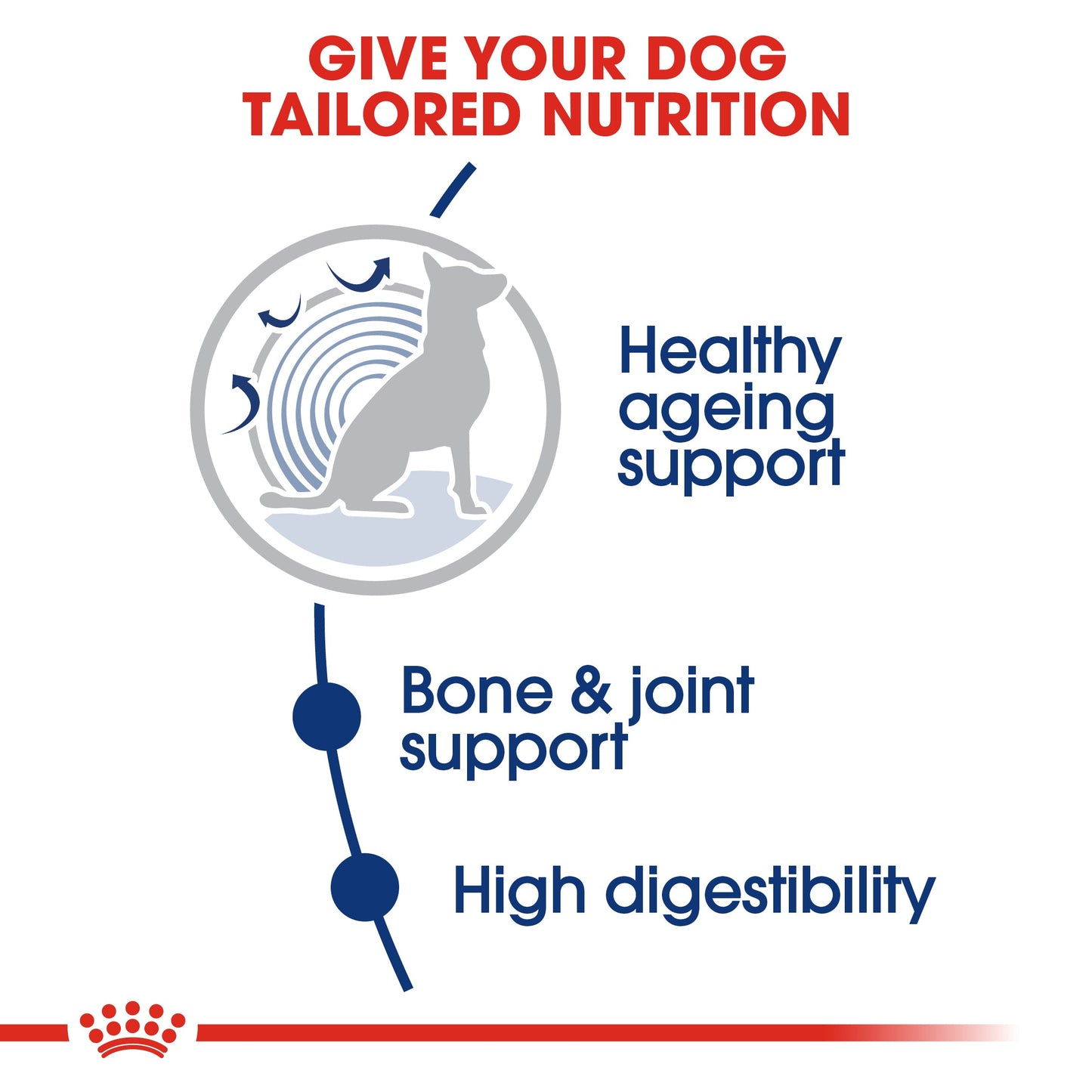 Royal Canin Maxi Ageing 8+ Senior Dry Dog Food