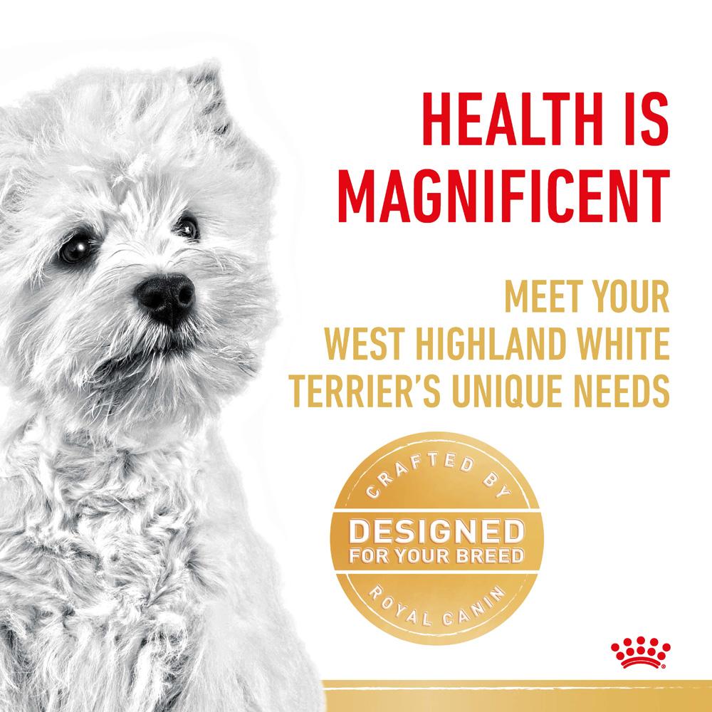 Royal Canin West Highland Terrier Adult Dry Dog Food