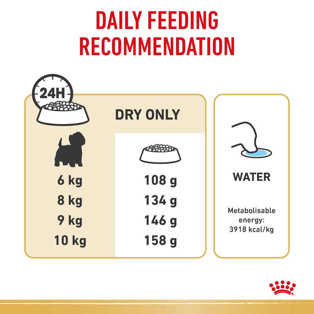 Royal Canin West Highland Terrier Adult Dry Dog Food