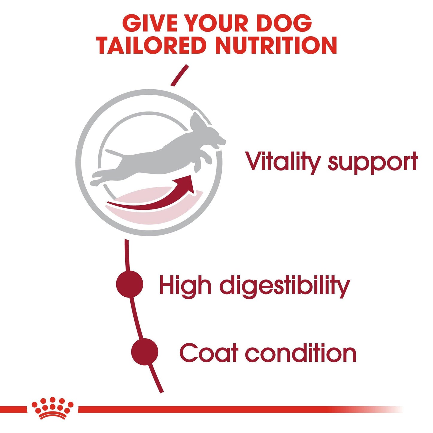 Royal Canin Medium Breed Senior Chicken Dry Dog Food