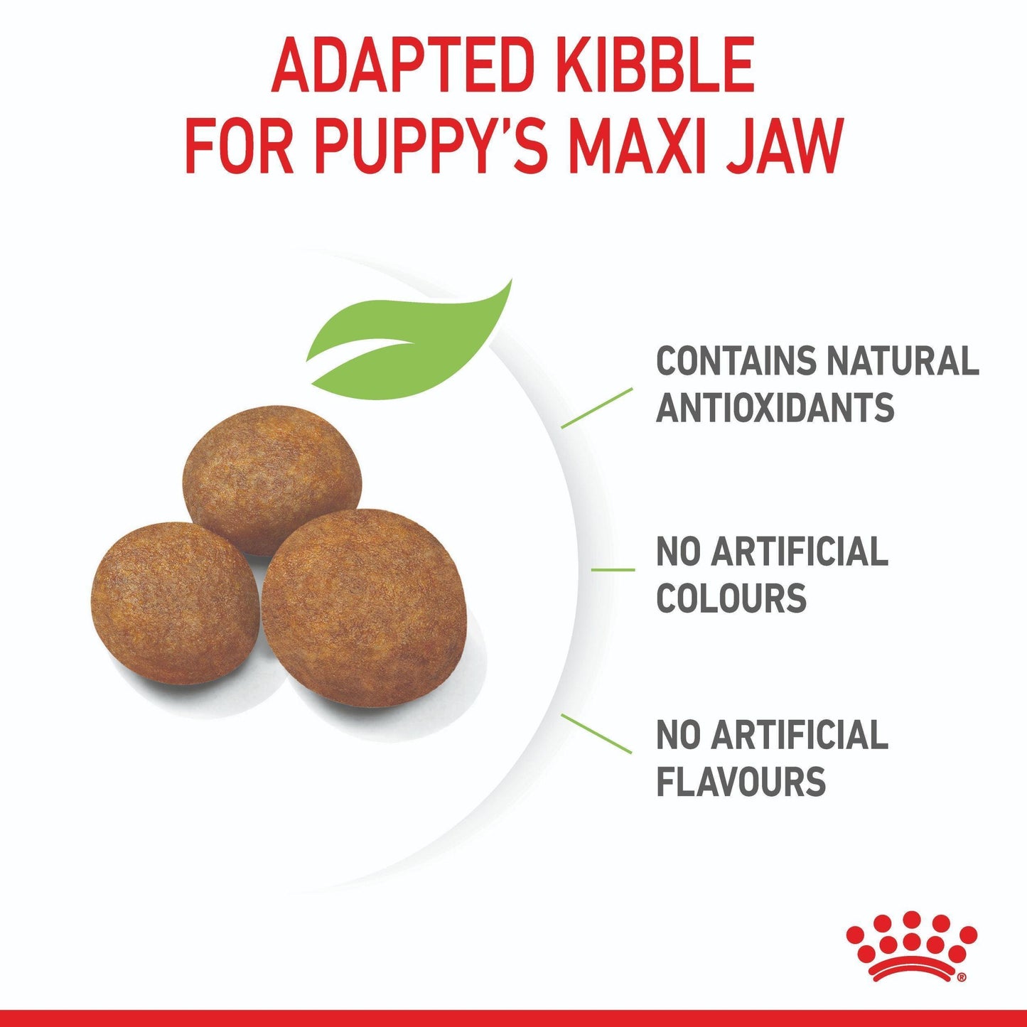 Royal Canin Maxi Large Breed Puppy Dry Dog Food