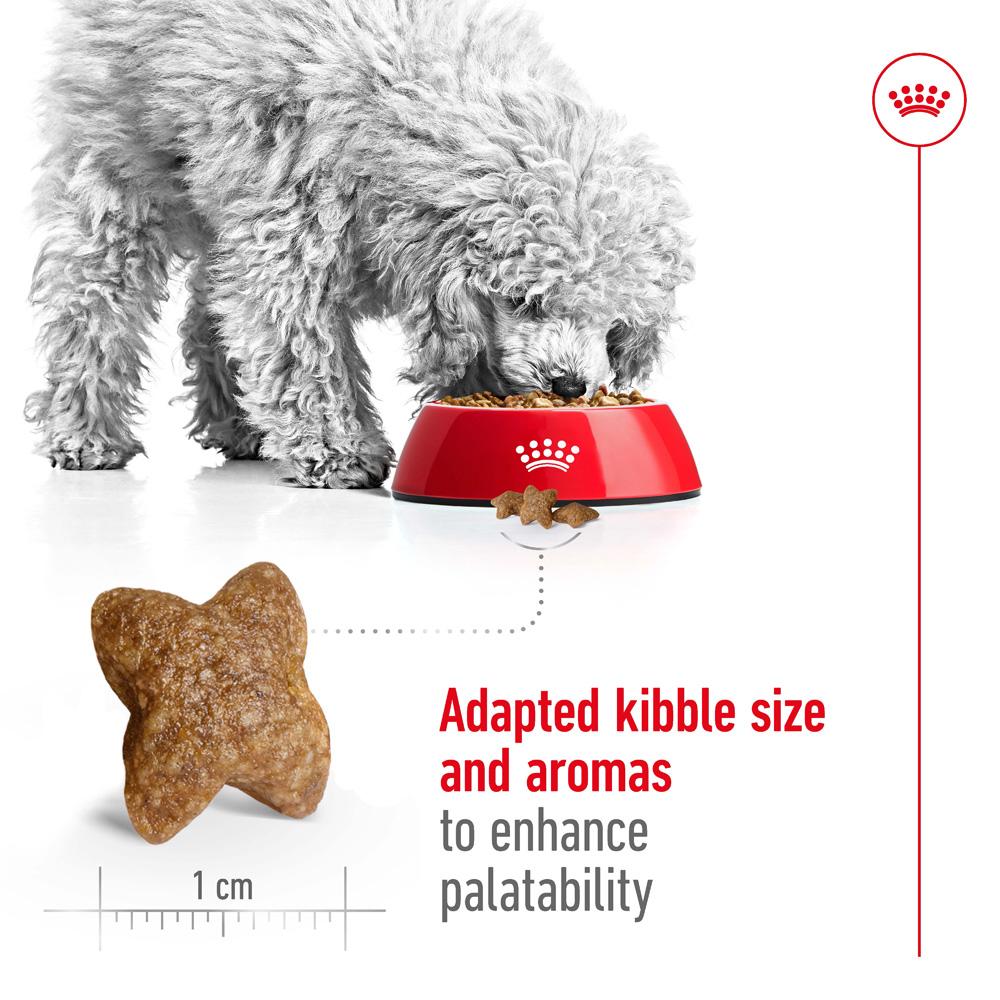 Royal Canin Mini Small Breed Adult Chicken Dry Dog Food