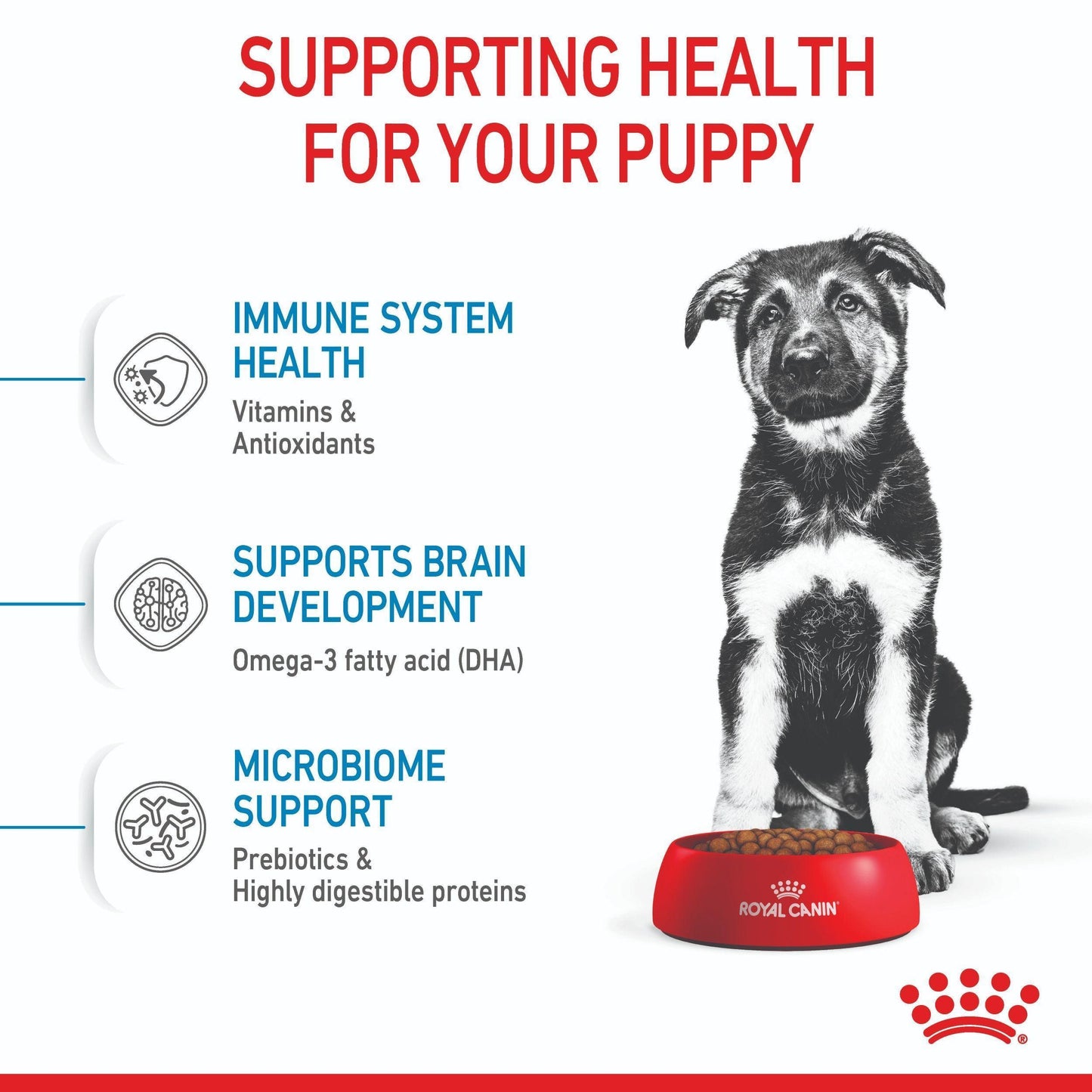Royal Canin Maxi Large Breed Puppy Dry Dog Food
