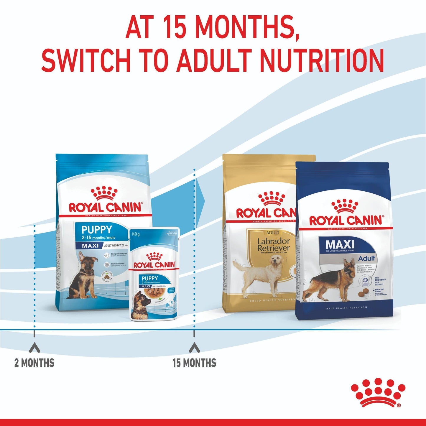 Royal Canin Maxi Large Breed Puppy Dry Dog Food