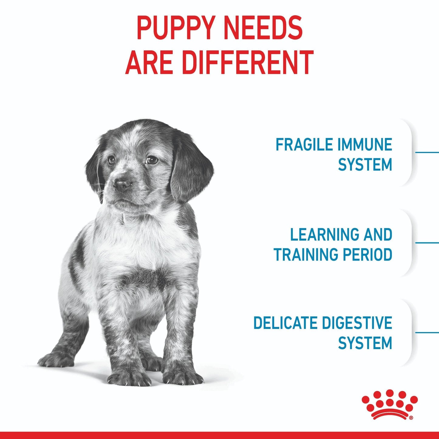 Royal Canin Medium Breed Puppy Chicken Dry Dog Food