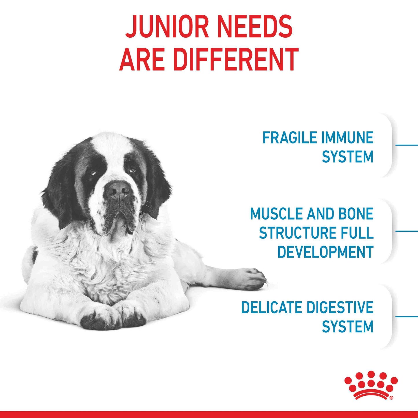 Royal Canin Junior Giant Puppy Chicken Dry Dog Food