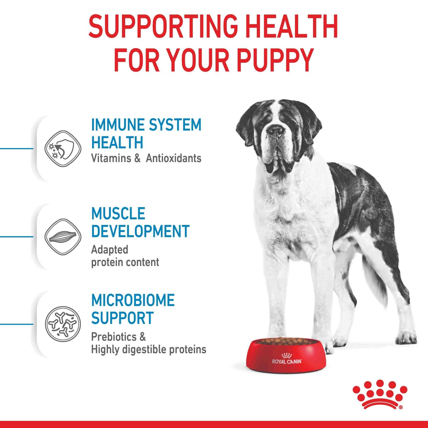 Royal Canin Junior Giant Puppy Chicken Dry Dog Food
