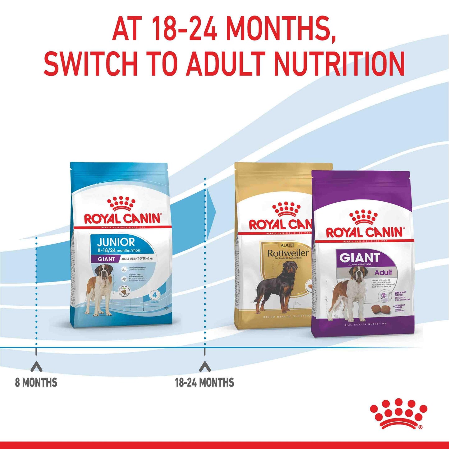Royal Canin Junior Giant Puppy Chicken Dry Dog Food