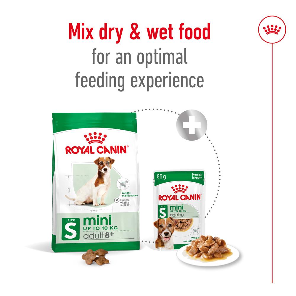 Royal Canin Mini Adult 8+ Dry Dog Food