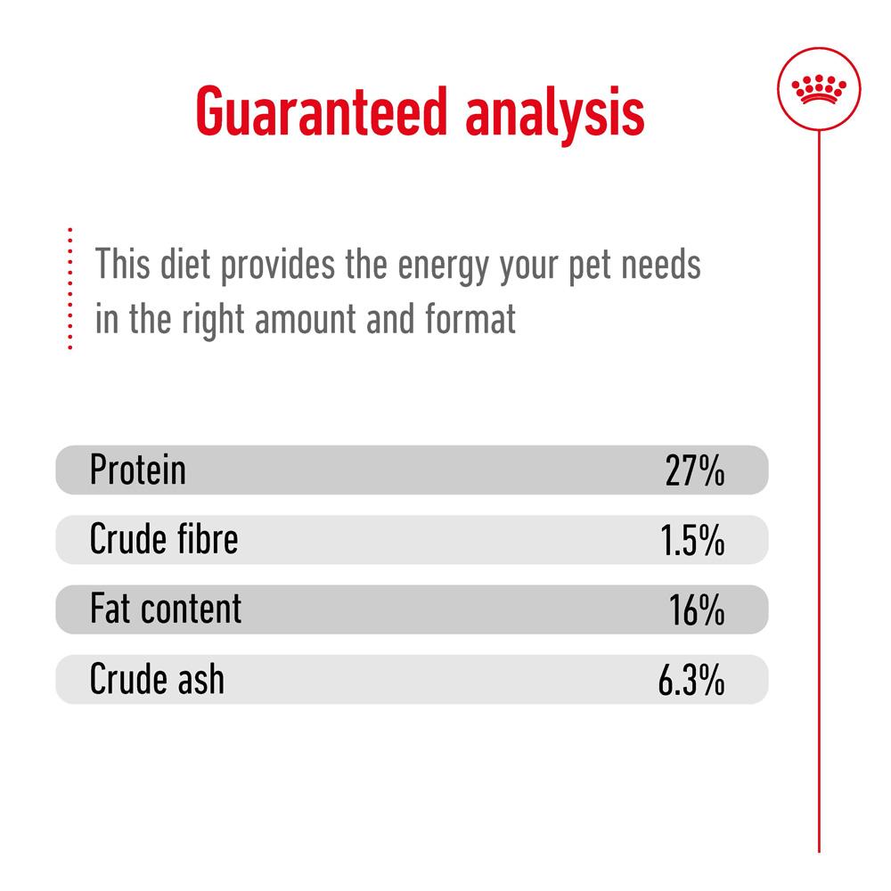Royal Canin Mini Adult 8+ Dry Dog Food