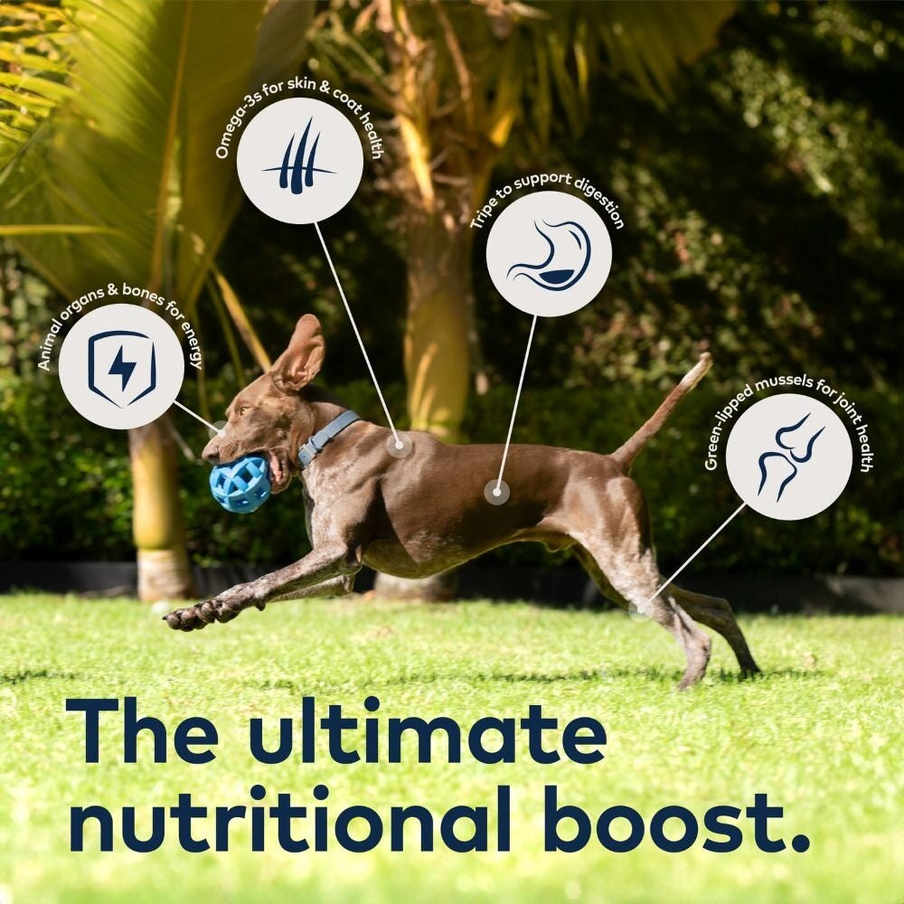 Ziwi Peak Air Dried Beef Recipe Dry Dog Food