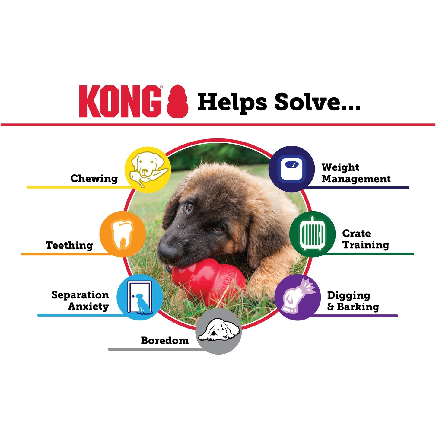 KONG Classic Treat Dispensing Dog Toy