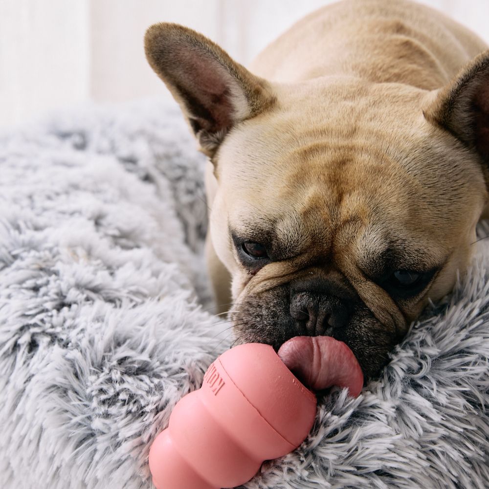 KONG Classic Puppy Treat Dispensing Dog Toy