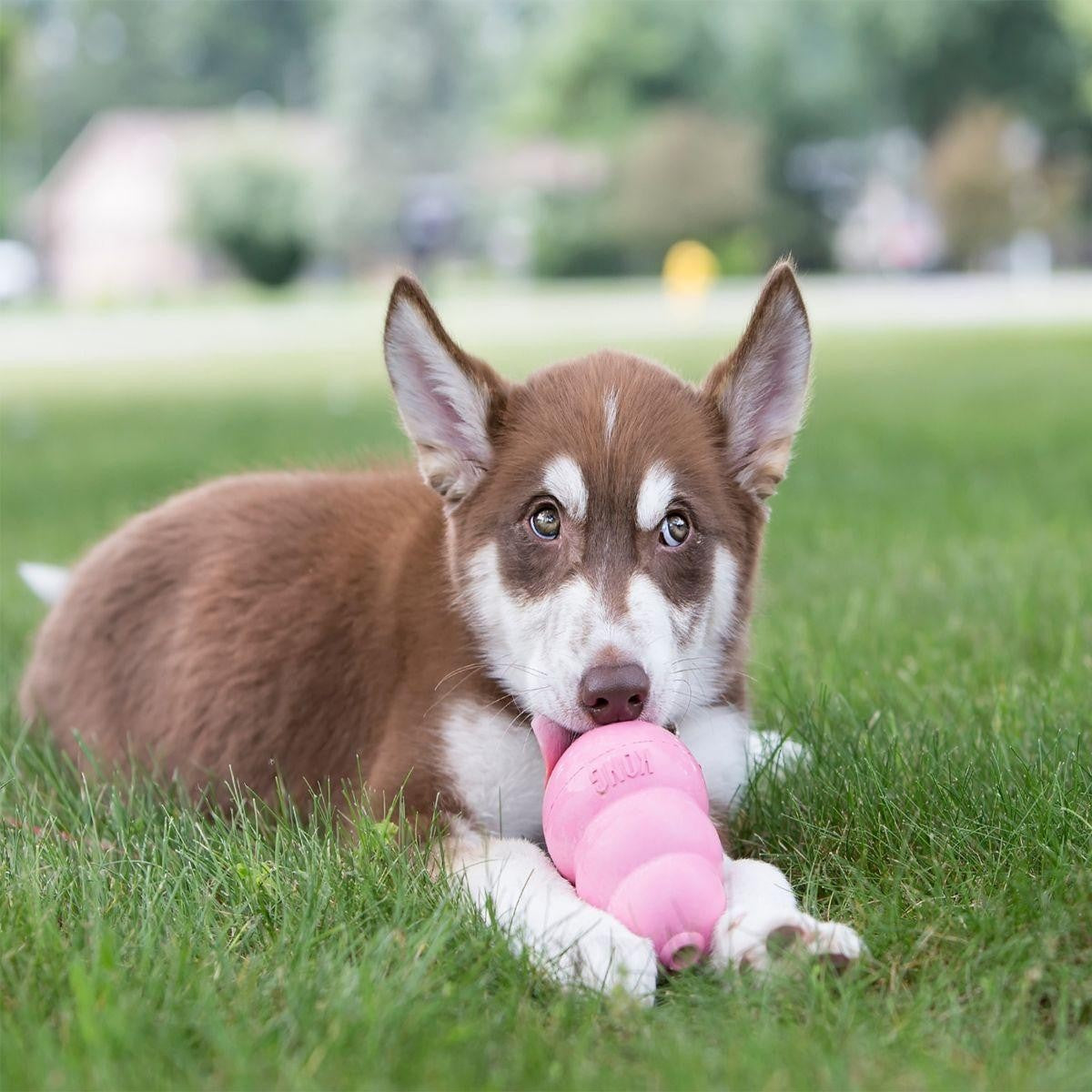 KONG Classic Puppy Treat Dispensing Dog Toy