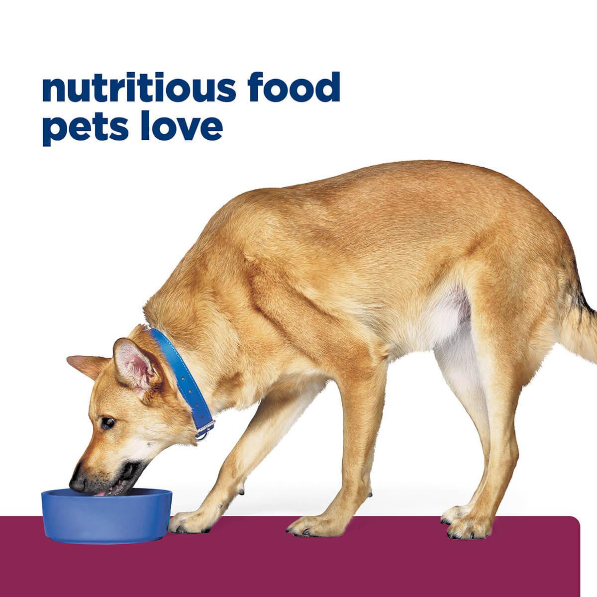 Hill's Prescription Diet I/D Digestive Care Dry Dog Food