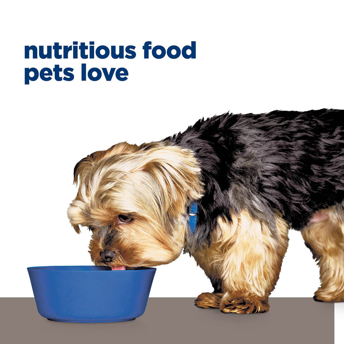 Hill's Prescription Diet I/D Liver Care Dry Dog Food