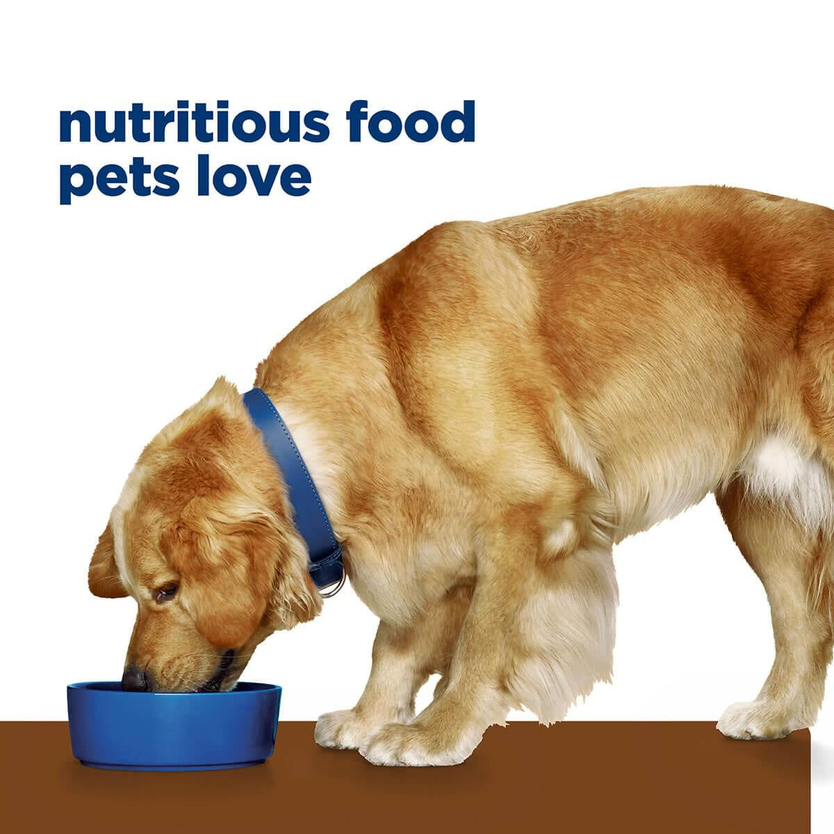 Hill's Prescription Diet J/D Mobility Care Dry Dog Food