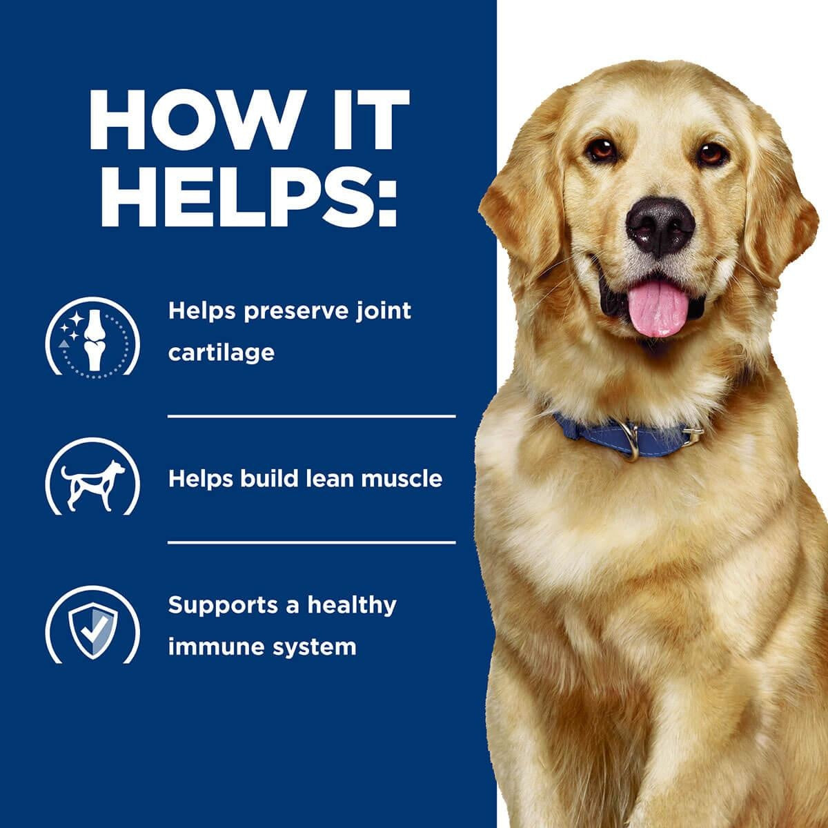 Hill's Prescription Diet J/D Mobility Care Dry Dog Food