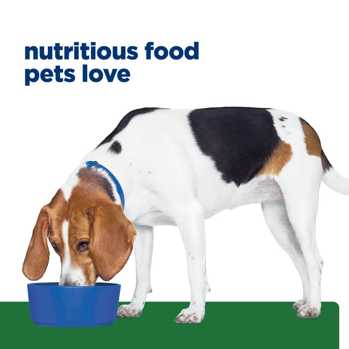 Hill's Prescription Diet R/D Weight Loss Dry Dog Food