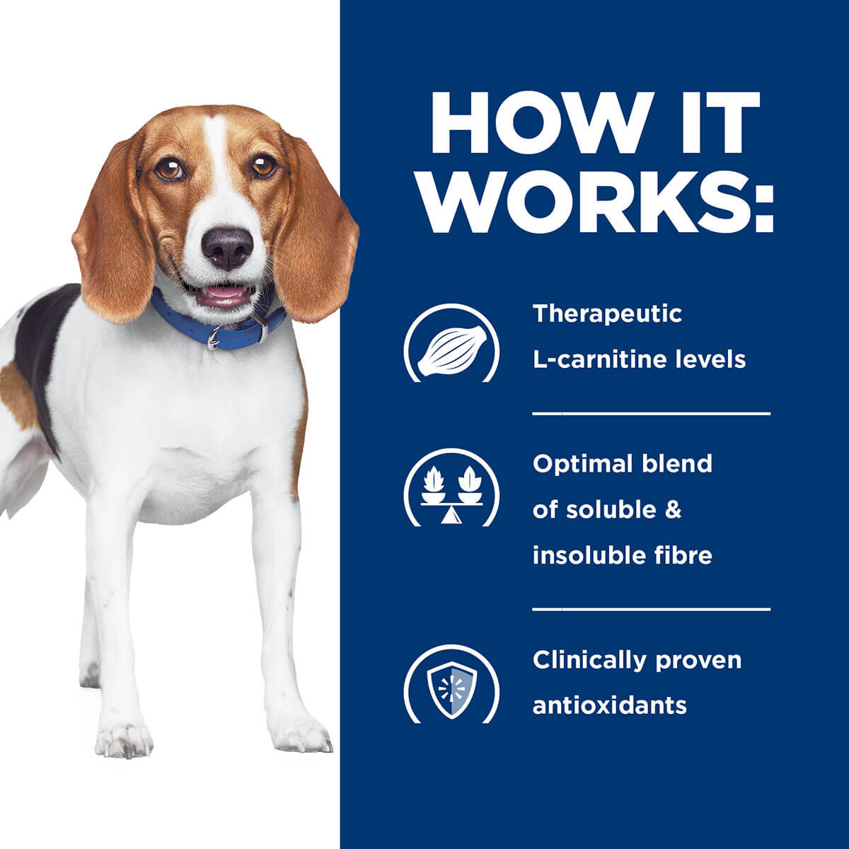 Hill's Prescription Diet R/D Weight Loss Dry Dog Food