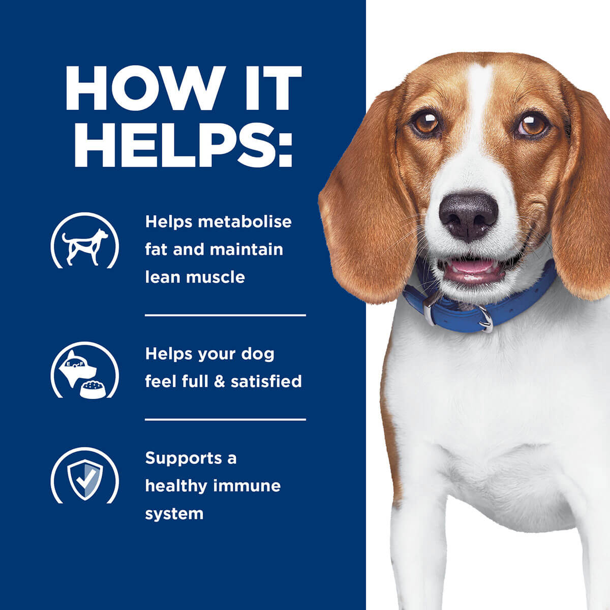 Hill's Prescription Diet R/D Weight Loss Dry Dog Food