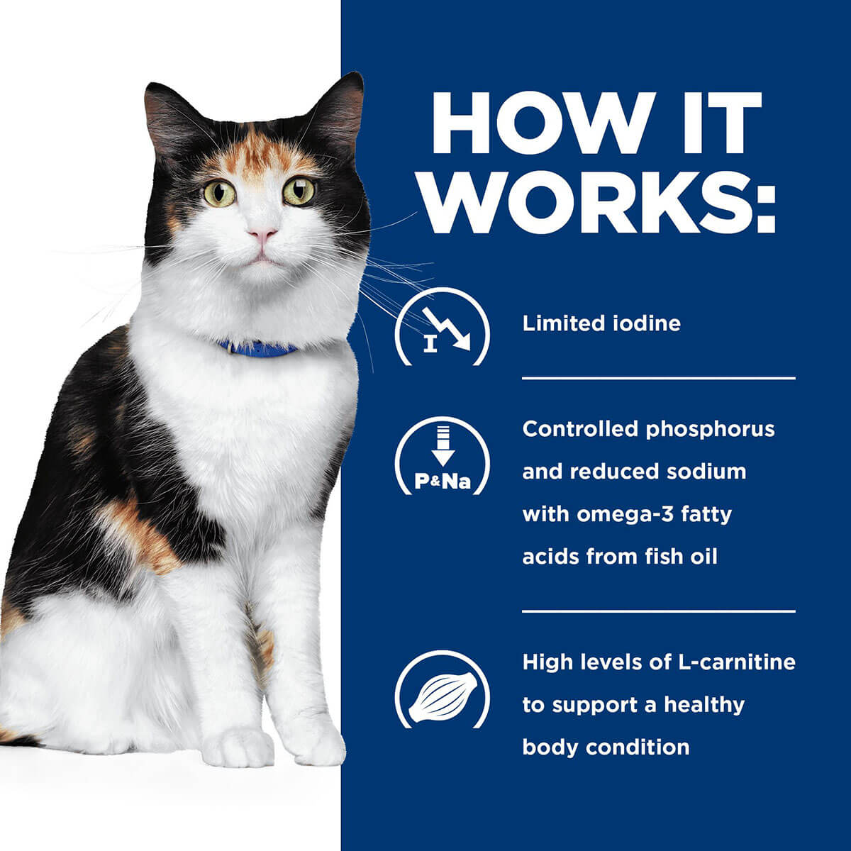 Hill's Prescription Diet Y/D Thyroid Care Dry Cat Food