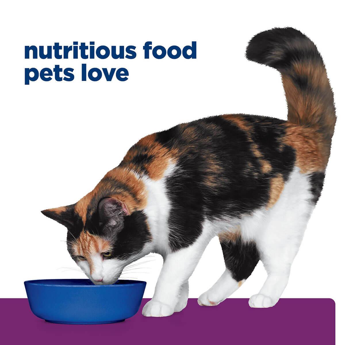 Hill's Prescription Diet Y/D Thyroid Care Chicken Wet Cat Food