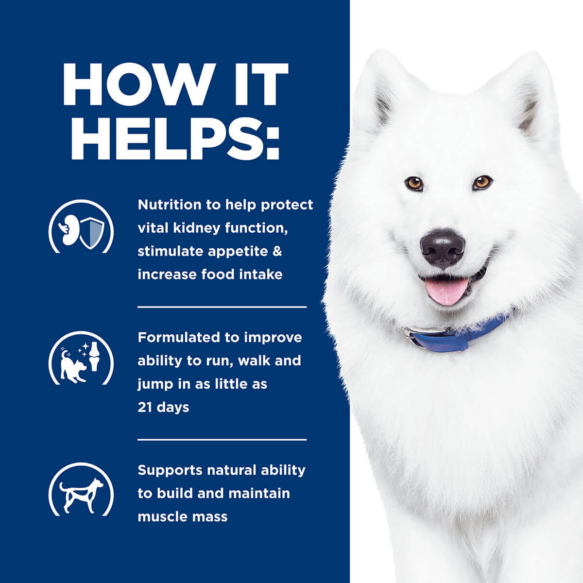 Hill's Prescription Diet K/D + J/D Kidney & Mobility Care Dry Dog Food