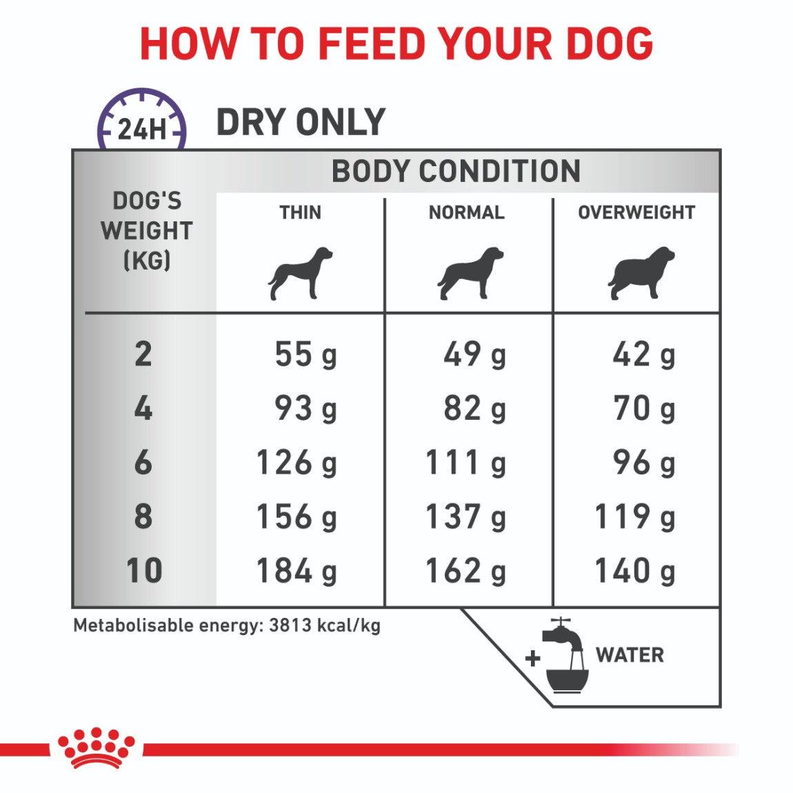 Royal Canin Expert Small Breed Dental Dry Dog Food