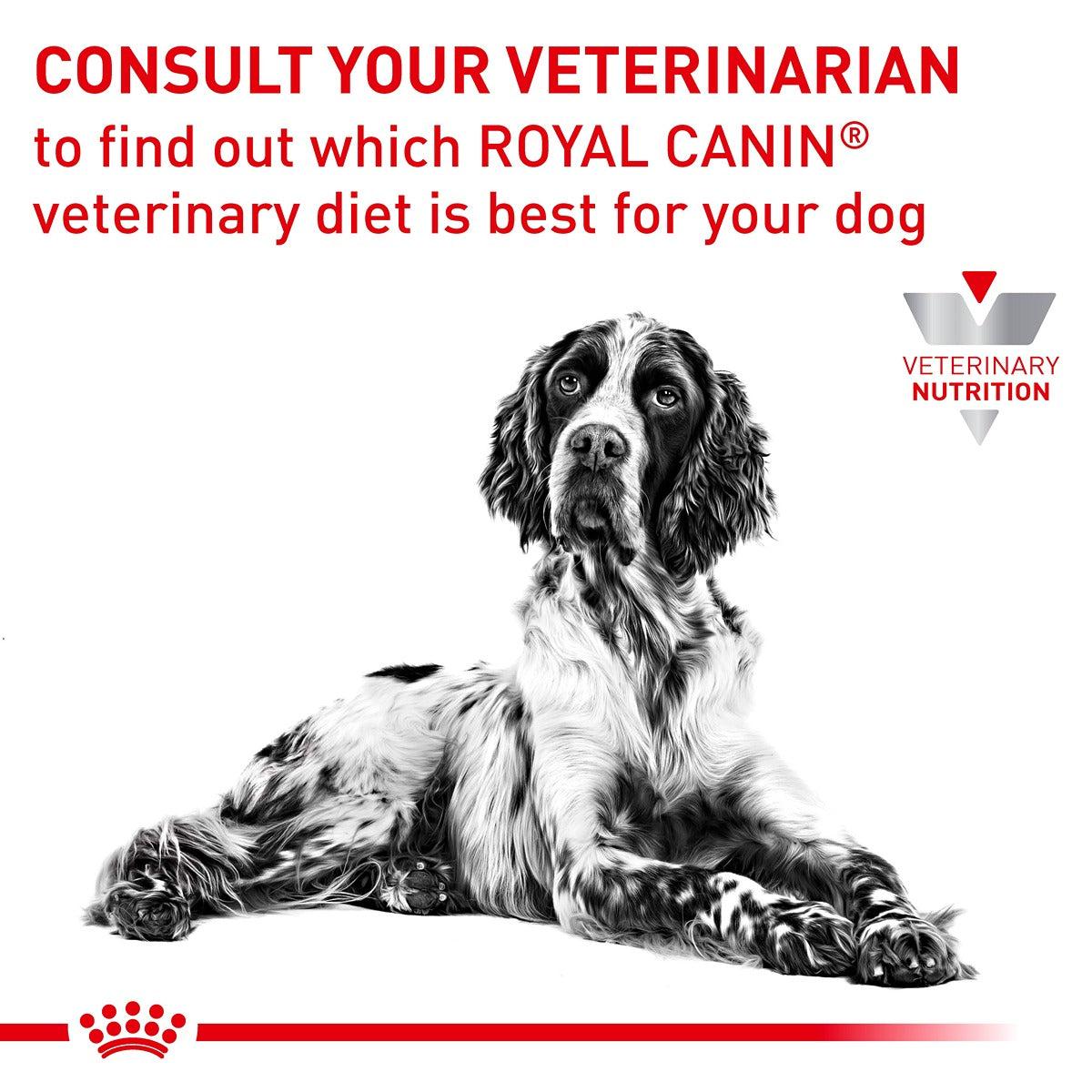 Royal Canin Veterinary Hypoallergenic Dry Dog Food
