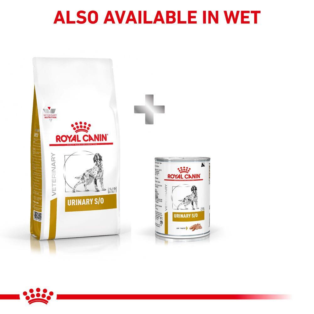 Royal Canin Veterinary Urinary S/O Dry Dog Food