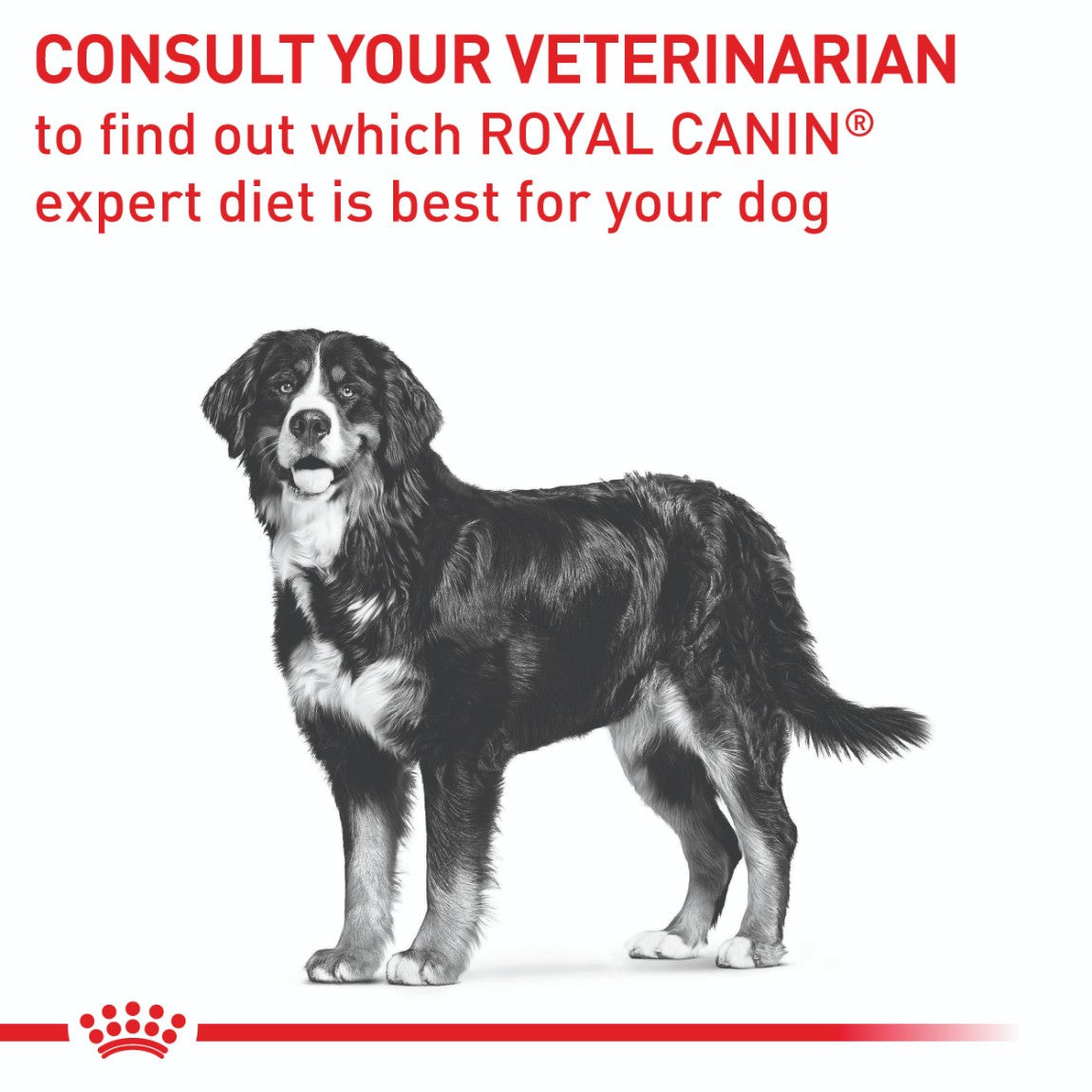 Royal Canin Veterinary Adult Large Breed Neutered Dry Dog Food