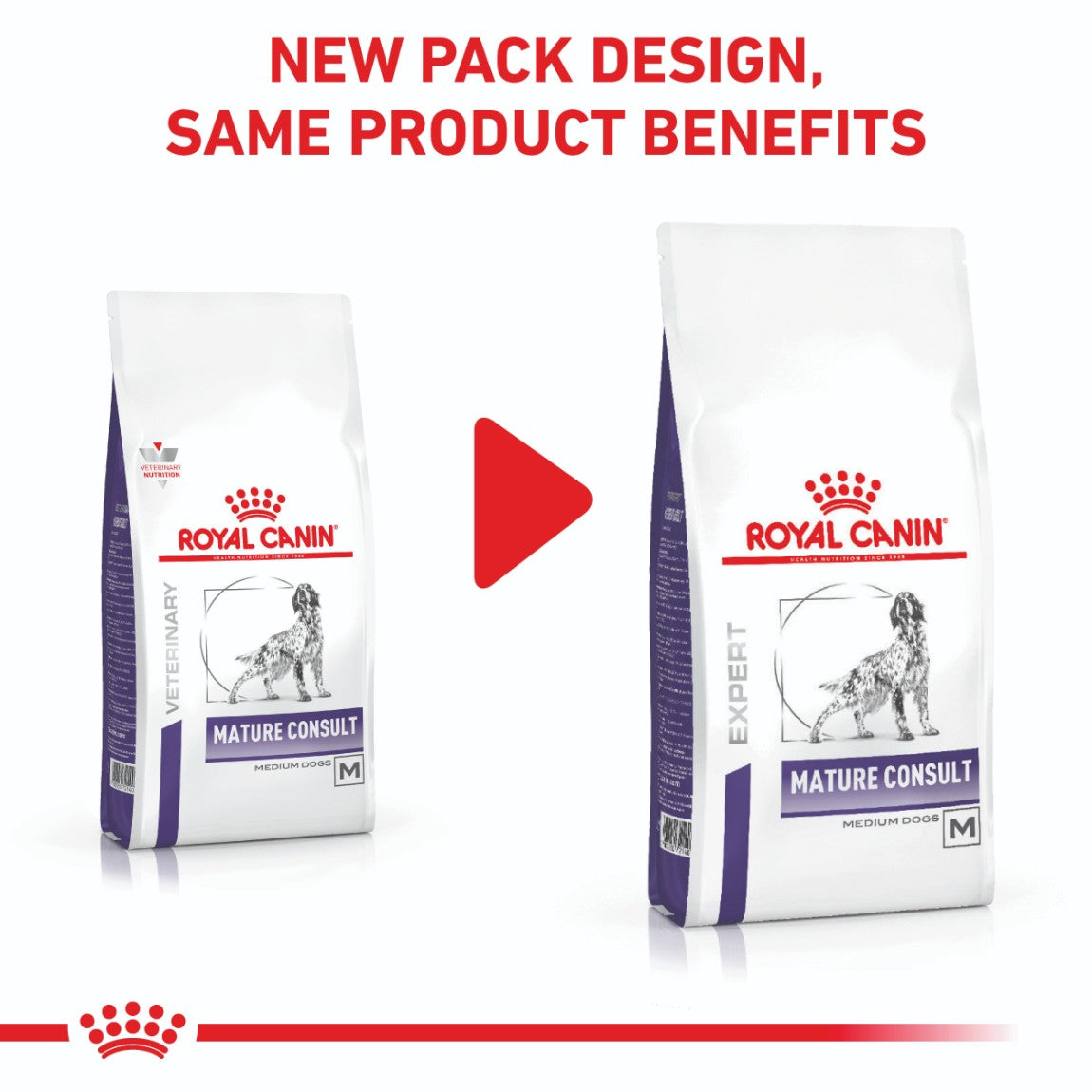 Royal Canin Expert Mature Medium Breed Consult Dry Dog Food