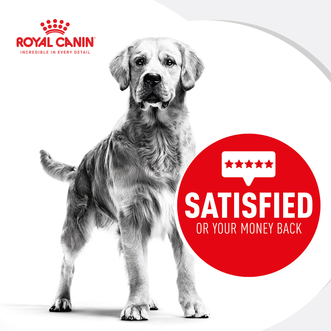 Royal Canin Expert Mature Medium Breed Consult Dry Dog Food