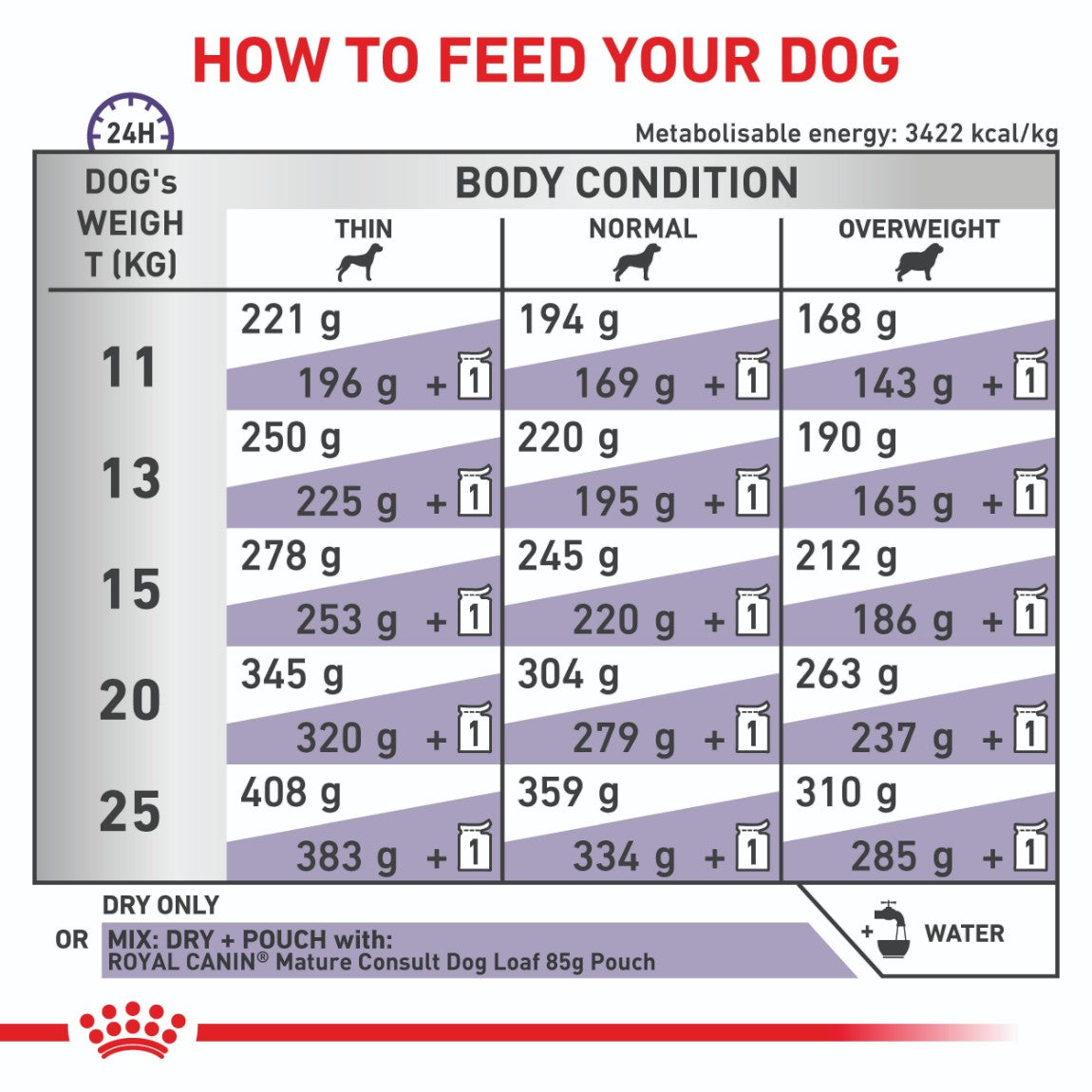 Royal Canin Expert Mature Medium Breed Consult Dry Dog Food