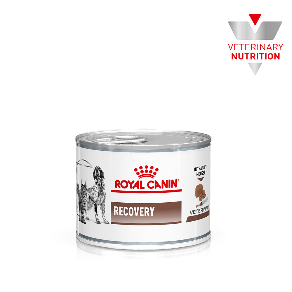 Royal Canin Veterinary Recovery Wet Dog & Cat Food
